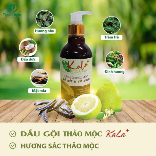 Dầu gội Thảo Mộc Kala